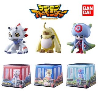 ดิจิมอน Digimon Ghost Game The Digimon / Gamamon, Angoramon, Jelly Monster