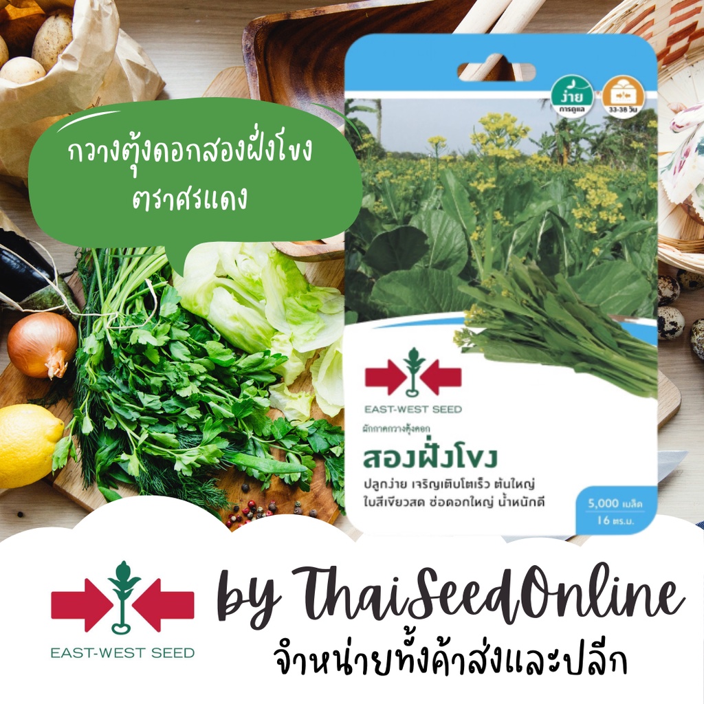GGEW 10/69 เมล็ดพันธุ์ซฟ กวางตุ้งดอกสองฝั่งโขง กระจ้อน ตราศรแดง Pak Choy