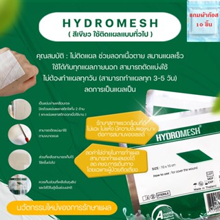 แผ่นปิดแผล สมานแผลเร็ว แห้งเร็ว  ลอกไม่เจ็บ แบบไฮโดรเจล ขนาด 10x10 cm. 1 แผ่น (ไฮโดรเมช HydroMesh-สีเขียว)