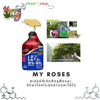 สเปรย์กุหลาบ My Roses ป้องกันโรคและกำจัดศัตรูพืชสำหรับกุหลาบ จากญี่ปุ่น 950ml benica My rose Fertilizer ปุ๋ยกุหลาบ สเปรย