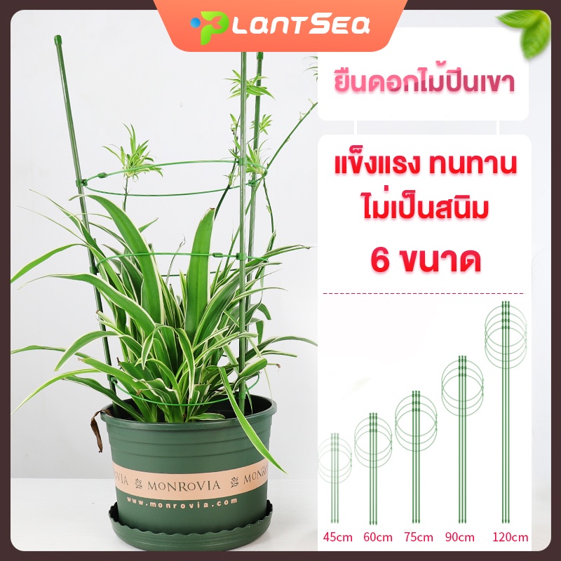 กรงพืช เสามะเขือเทศ ไม้เลื้อย ทรงพุ่ม ซุ้มไม้ ทรงต้นไม้ โครงเถาวัลย์ โครงปลูก แบบทนทาน อุปกรณ์สำหรับพืชไม้เลื้อย