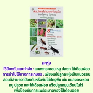 หนังสือเกษตร สมุนไพรไล่แมลงศัตรูพืช รักษาโรคพืช โรคสัตว์ และสิ่งแวดล้อม : พืชสมุนไพรทดแทนการใช้สารเคมีได้จริงหรือ