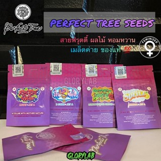 เมล็ด กัญชา เมล็ดค่ายPerfect Tree Seeds/พันธุ์ Z CUBE x JET A-Photoสายผลไม้ 🍋🍓🍌(เเบ่งขาย)‼️ตรงปก เมล็ดค่ายแท้ 💯