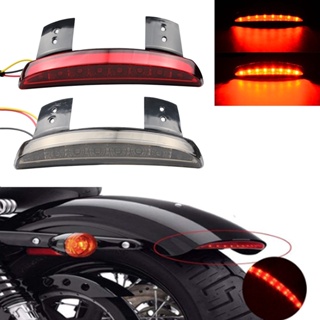 Motorcycle Lights Rear Fender Edge LED Brake License Plate Tail LightS Stop Running Turn Signal Lamp Bike for Harley Spo