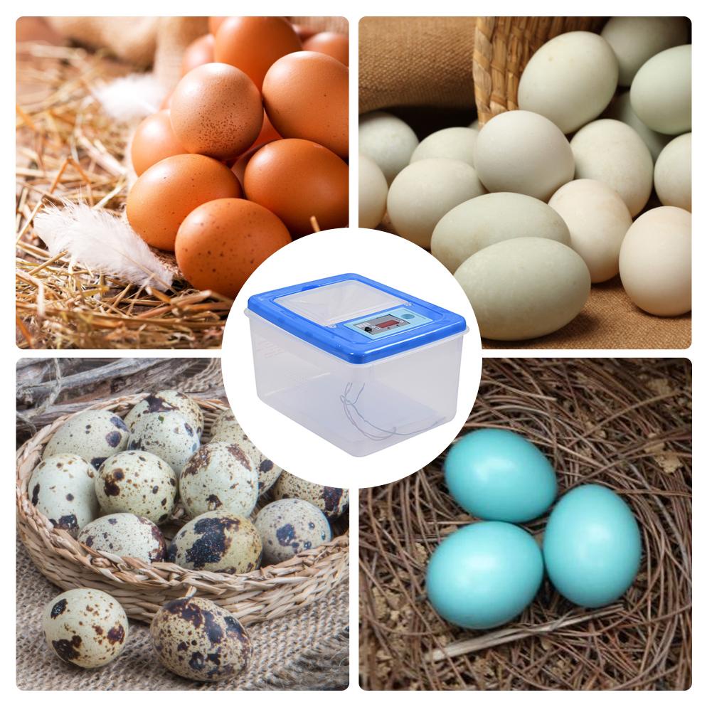 All About Pet ตู้ฟักไข่ไก่ 32 ฟอง ตู้ฟักไข่ เครื่องฟักไข่ ตู้ฟักไข่อัตโนมัติ เครื่องฟักไข่อัตโนมัติ อุปกรณ์ตู้ฟักไข่