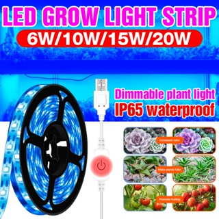 เทปริบบิ้นสวิตช์สัมผัส LED 12V กันน้ํา เต็มสเปกตรัม สําหรับปลูกพืชในร่ม เรือนกระจก ​แถบไฟ 0.5 เมตร 1 เมตร 2 เมตร 3 เมตร