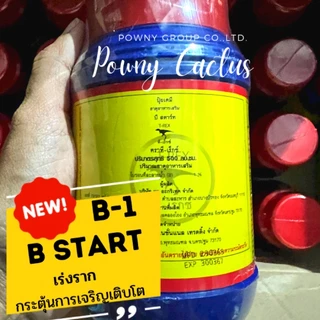 B1 น้ำยาเร่งราก ขนาด 100 500 cc. เร่งราก เเคคตัส กระบองเพชร ต้นไม้ทุกชนิด บำรุงราก