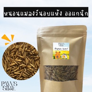 [Paws-sible] Black Soldier Fly Larvae หนอนเสือดำ หนอนแมลงวันลาย แมลงอบแห้ง หนอนนก หนอนอบแห้ง