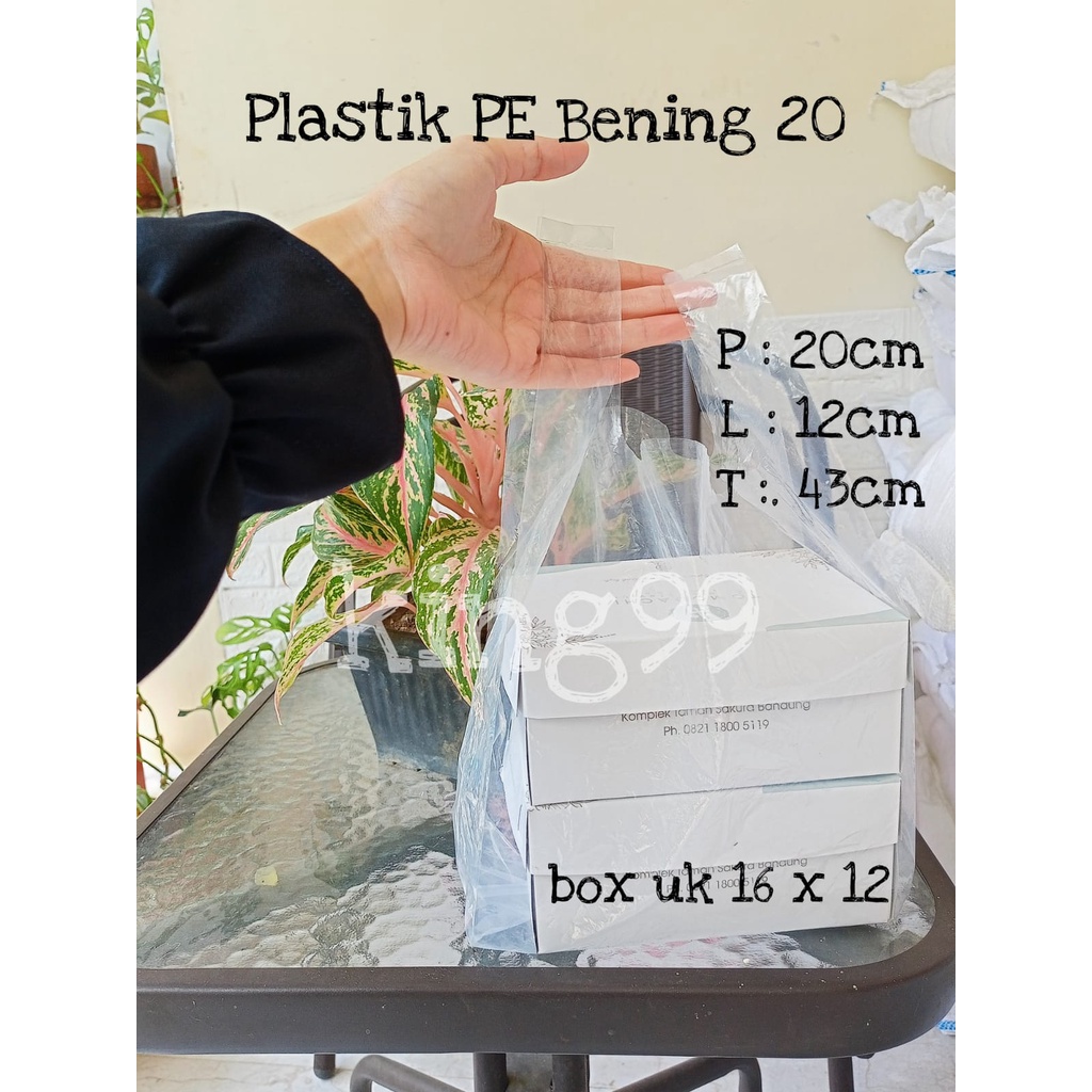 TRANSPARENT MARTABAK SNACK BOX CLEAR PE UK 20 แทนเน็ต 50 ชิ้น