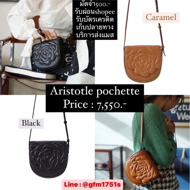 Aristotle bag : pochette