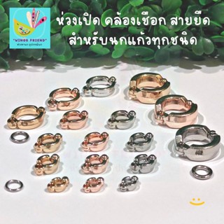 ห่วงเปิด พร้อมห่วงล็อค สำหรับนกแก้วทุกชนิด คล้องสายจูง สายยืด เชือก พร้อมส่ง