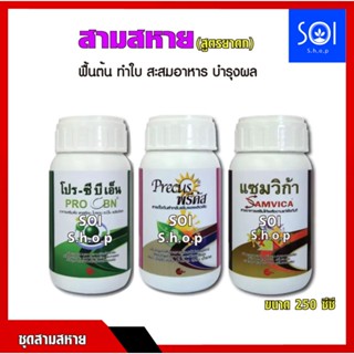 สามสหาย - ฮอร์โมนเพิ่มผลผลิตพืช (250cc.) พริก มัน อ้อย ผัก ผลไม้ ดอกไม้ กล้วยไม้ ฮอร์โมนลำไย บำรุงลำไย