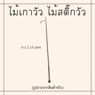 ไม้เกาวัว ไม้สติ้ก อุปกรณ์วัว วัว  ไม้ดัดท่าวัว หลักวัวชน หลักวัวสเตเลส สร้อยวัว