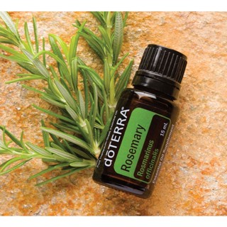 doTERRA Rosemary โรสแมรี่ 15ml กลิ่นช่วยให้รู้สึกตื่นตัว สดชื่น ช่วยให้โฟกัสได้ดี เสริมบรรยากาศ เพิ่มพลังงาน ใส่อาหารได้