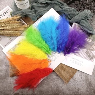 ขายส่ง ขนไก่งวงสี 8-15 ซม. สําหรับงานฝีมือ ขนปุย Marabou Plumas Diy ตกแต่งงานแต่งงาน ปาร์ตี้ ตาข่ายดักฝัน อุปกรณ์ Diy