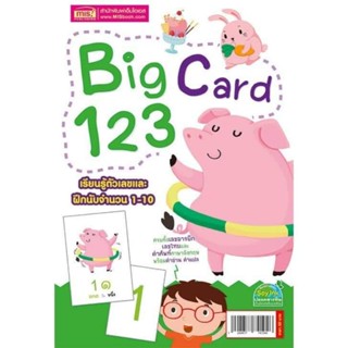 เหลือเพียง 30 บาทจากราคากล่องละ 50 บาทBig Card 123 #แฟลชการ์ด ขนาดใหญ่-A105