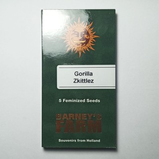 เมล็ดกัญชา Barneys farm Gorilla Zkittlez feminized 5 cannabis seeds