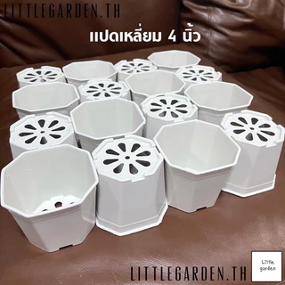 Little กระถางแคคตัส กระถางแปดเหลี่ยม 4 นิ้ว 50 ใบ 177 บาท (สีดำ สีขาว สีอิฐ สีเทา)
