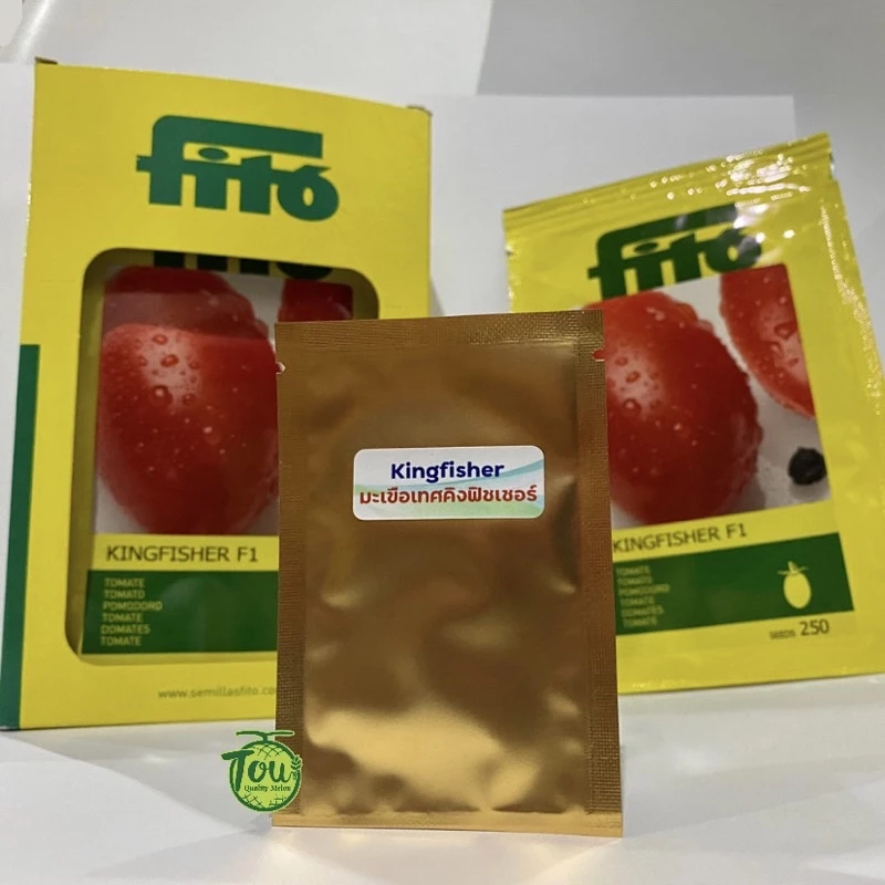 เมล็ดพันธุ์มะเขือเทศคิงฟิชเชอร์ 10 เมล็ด kingfisher tomato