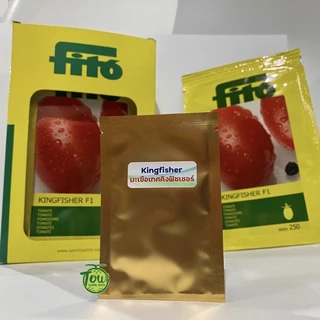 เมล็ดพันธุ์มะเขือเทศคิงฟิชเชอร์ 10 เมล็ด kingfisher tomato