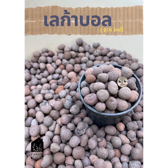 เลก้าบอล (Leca ball) เม็ดดินเผามวลเบา เม็ดดินเผา เม็ดดินเผาปั้น วัสดุปลูก วัสดุปลูกแนวใหม่