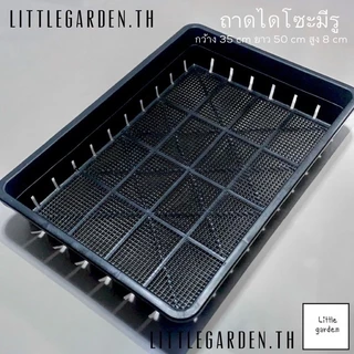 Little ถาดไดโซะ ถาดเพาะ ถาด 20 นิ้ว กระบะปลูกผักไฮโดรโปนิกส์ ถาดพลาสติก กะละมังเหลี่ยม(เแบบทึบ) (สีดำเงาA+🖤)