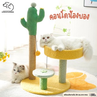 🐱คอนโดแมว🐱คอนโดผ้าแมว นุ่มๆ คอนโดเล็กแมว สูง 67 CM คอนโดแมวน่ารัก ประกอบง่าย