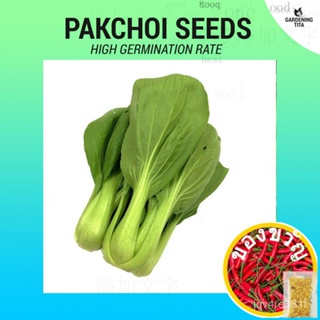 เมล็ด Pakchoi ~ 480ชิ้น seeds/ กระโปรงลายดอกไม้/กระโปรง/บ้านและสวน/ มะเขือเทศ/มะเขือเทศ/ดอกไม้/หมวก/กางเกง/ SPQN