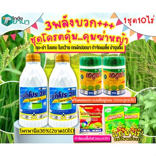 🌾 ชุดคุมฆ่า3พลัง (แซดโปร36+เอดูซ่า+ไทอะมีทอกแซม) ขนาด 1Lx2+100gx2+100g ฆ่าใบแคบกว้างกกเพลี้ยไฟปรับปรุงดินแถมมัสแตง2ซอง