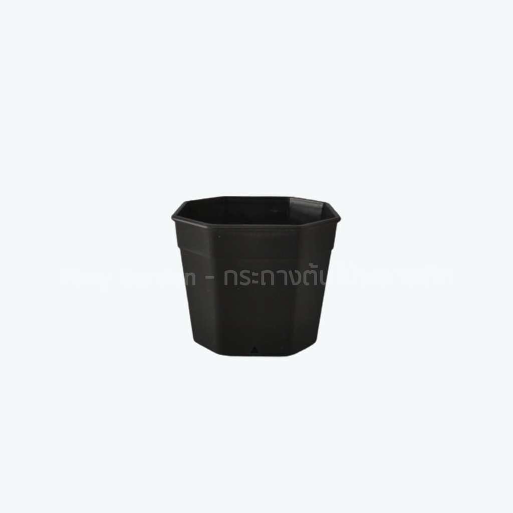 กระถางแคคตัส ทรงแปดเหลี่ยม 3 นิ้ว สีขาว สีดำ สีเทา สีอิฐ แพ็ค 50 ใบ - รูปที่ 2