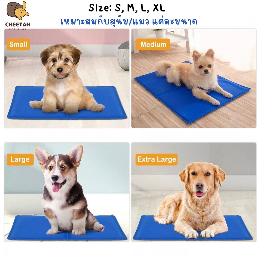 พร้อมส่ง  Pet Cool mat ที่นอนเจลเย็น แผ่นเจลเย็น แผ่นทำความเย็น ที่นอนสัตว์เลี้ยง เบาะนอนเย็น สำหรับสุนัข และแมว