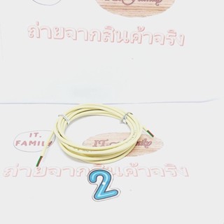 สายโทรศัพท์บ้าน (สายเปลือยยังไม่เข้าหัว ) 2 CORE ขนาดสาย 0.5 mm ยาว 2 เมตร LINK (ออกใบกำกับภาษีได้)