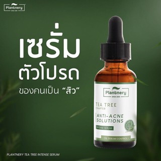 Plantnery™ TEA TREE INTENSE SERUM 30 ml เซรั่มสำหรับคนเป็นสิว