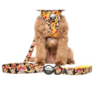 Pablo and Co Dog Leash สายจูงสำหรับสุนัข ลาย Disney Pixar ลิขสิทธิ์แท้