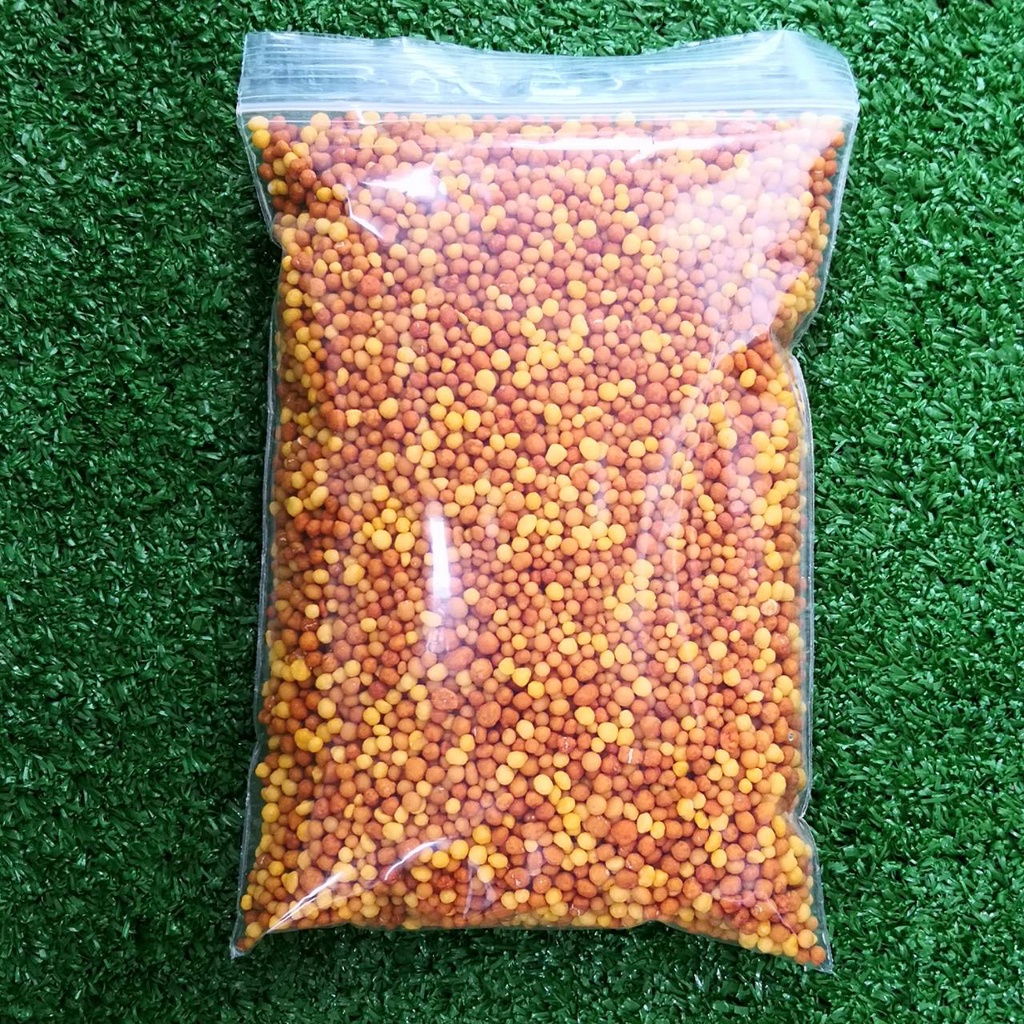 รูปภาพ 5