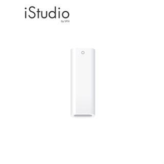 Apple USB-C to Apple Pencil Adapter I iStudio by SPVi