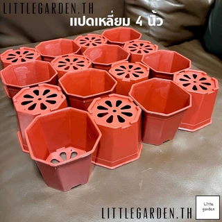 Little กระถางแคคตัส กระถางแปดเหลี่ยม 4 นิ้ว 50 ใบ 177 บาท (สีดำ สีขาว สีอิฐ สีเทา)