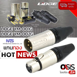 (1ตัว/แกนทอง) ปลั๊ก XLR LIDGE YM-001G / LIDGE YM-002G Plug XLR แคนน่อน ตัวผู้ 3ขา XLR ตัวเมีย 3ขา ตัวผู้ 3ขา