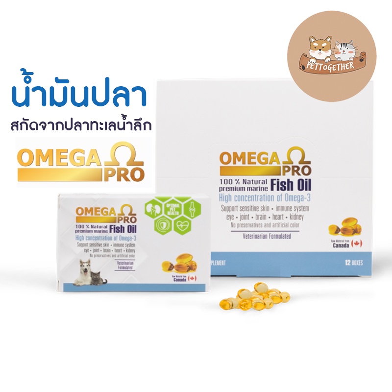ใหม่ Omega Pro Fish Oil น้ำมันปลา อาหารเสริม บำรุงขน สุนัข หมา แมว โอเมก้า 3 เข้มข้นสูง