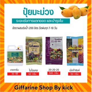 [ส่งฟรี] ปุ๋ย กิฟฟารีน ปุ่ยทางใบ ปุ๋ยมะม่วง ระยะเร่งการแตกยอด บำรุงใบ Giffarine