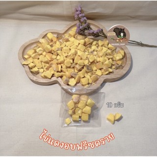 ไข่แดงอบฟรีซดราย ไข่แดง100% [ 10 กรัม ] สำหรับสัตว์เลี้ยง หมา แมว ชูก้า แฮมเตอร์