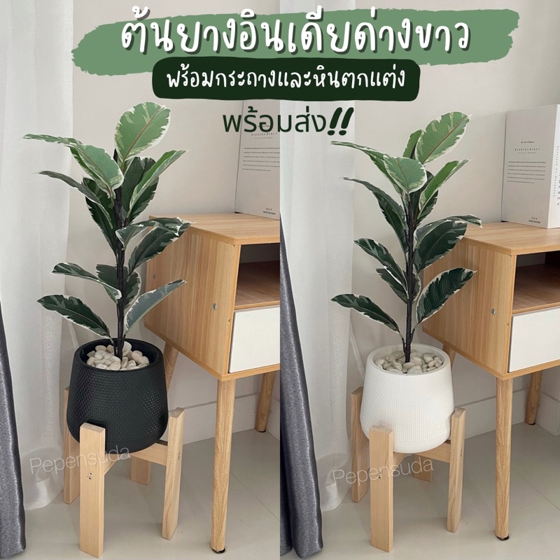 ((ครบเซ็ต ราคาพิเศษ)) ต้นยางอินเดียด่าวขาวปลอม ก้านตรง พร้อมกระถางความสูง 65-70ซม. ต้นไม้ปลอมตกแต่งบ้านสไตล์มินิมอลล์