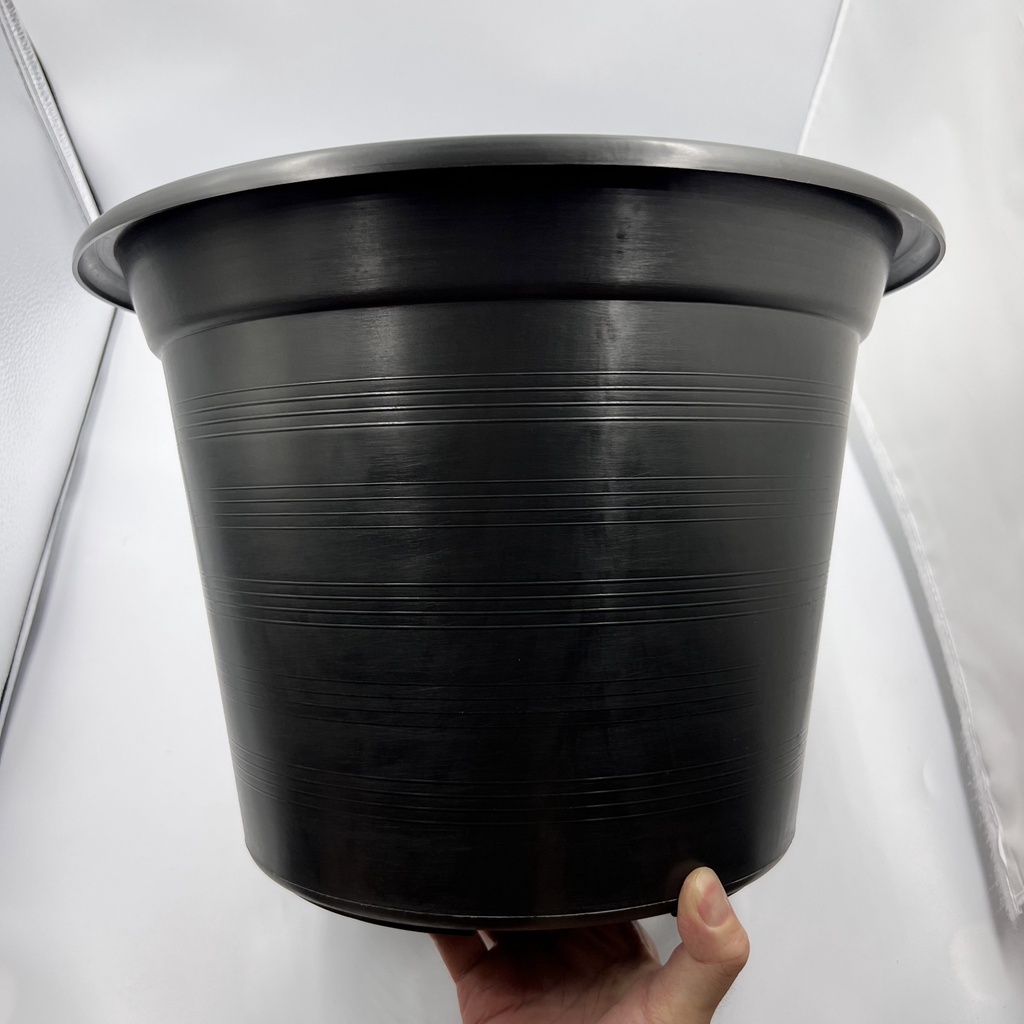 กระถาง 15 นิ้ว กระถางต้นไม้