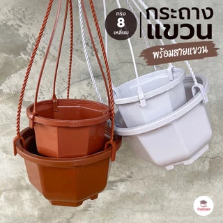กระถางแขวน 8 เหลี่ยม พร้อมสายแขวน กระถางพลาสติก แคคตัส กระบองเพชร ไม้อวบน้ำ Cactus&Succulent