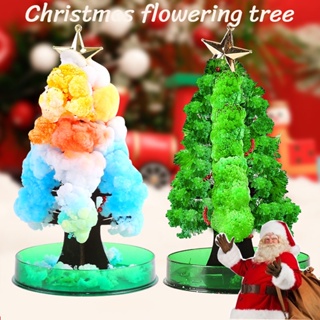🎄พร้อมส่ง🎄ต้นคริสต์มาส ของเล่น Magic Growing Christmas Tree ของขวั คริสต์มาส ของขวัญคริสต์มาส