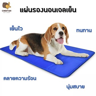 พร้อมส่ง🐱🐶 Pet Cool mat ที่นอนเจลเย็น แผ่นเจลเย็น แผ่นทำความเย็น ที่นอนสัตว์เลี้ยง เบาะนอนเย็น สำหรับสุนัข และแมว