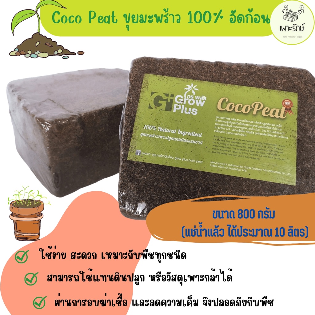 ขุยมะพร้าวอัดก้อน และเปลือกมะพร้าวสับอัดก้อน สินค้าคุณภาพจาก Grow Plus ใช้ง่าย สะดวก ปลอดภัยกับพืช #coco peat #coco husk