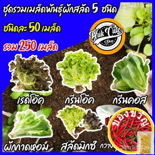 เมล็ดพันธุ์(แถมเมล็ดผัก) เมล็ดพันธุ์ผักสลัด 5ชนิด รวม 250เมล็ด อัตราการงอก95% เมล็ดพันธุ์ ผักสลัด เมล็ดผัก เมล็ดผักสลัด