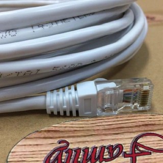 สายแลนพร้อมใช้งาน CAT 5E ยาว 30 M สีขาว DTECH (ออกใบกำกับภาษีได้)