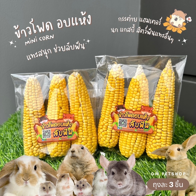 ข้าวโพดอบแห้ง ข้าวโพดลับฟัน l กระต่าย นก แฮมเตอร์ ชุการ์ แพรี่ด็อก ชินชิล่า